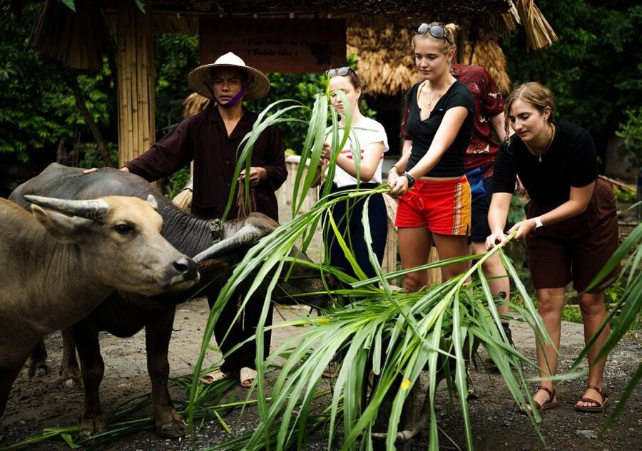 Ninh Binh cooking class at Buffalo Cave - Waterfall bathing, duck feeding, and fishing