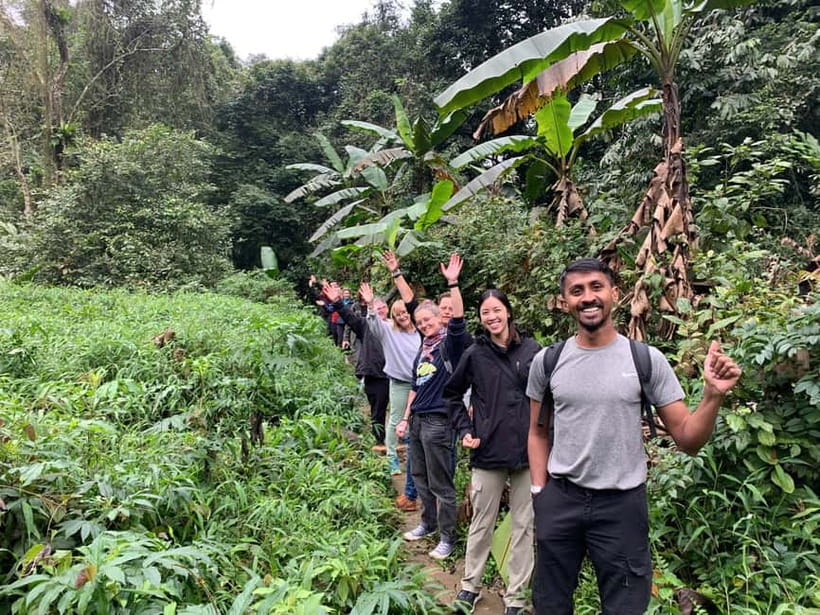 Ninh Binh: Cuc Phuong Jungle Hike & Wildlife Day Trip - The 1,000-year-old Cay Cho tree