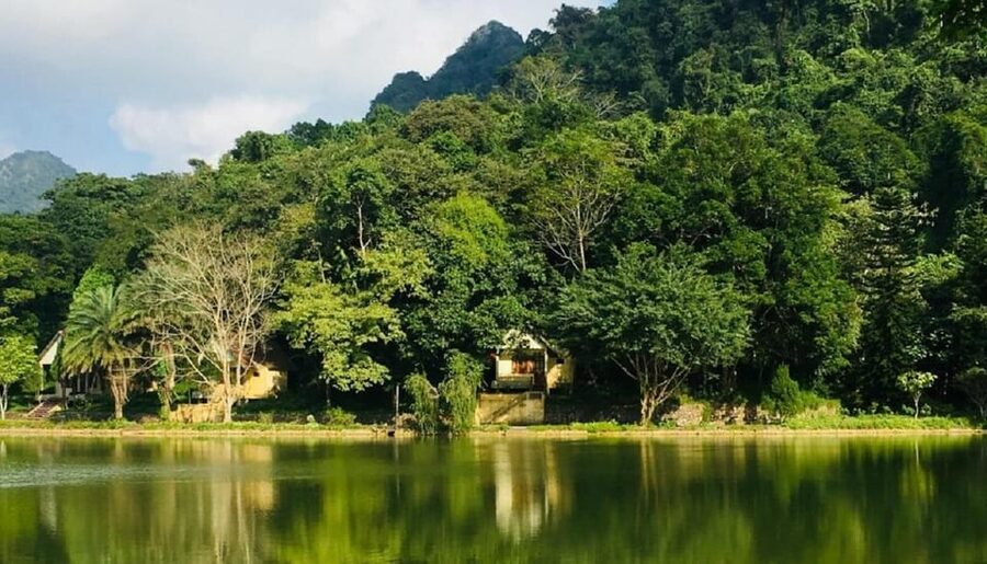 Ninh Binh : Cuc Phuong National Park One Day Group Tour - Cave of Prehistoric Man