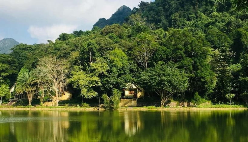 Ninh Binh : Cuc Phuong National Park One Day Group Tour - The primate rescue center and botanical garden