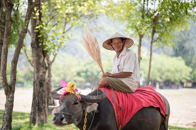Ninh Binh Daily Tour: Hoa Lu - Tam Coc boat trip and Bike - A Vietnamese buffet around 11:30 a.m.