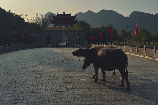 Ninh Binh Day Escape from Hanoi: Local Life, Connection & Tales - Key points to know before booking