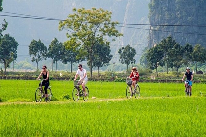 Ninh Binh Day Tour to Hoa Lu Trang An Mua Cave with Buffet Lunch - What the $53 price really covers