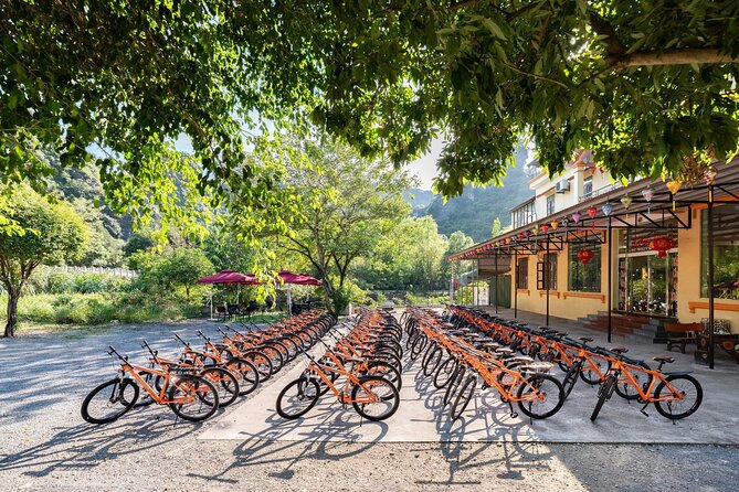 Ninh Binh Day Trip: Bai Dinh-Trang An-Mua Cave, Buffet, Boat, Bus - Transport, timing, and the long ride home