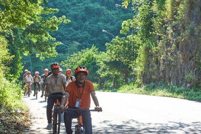Ninh Binh Day Trip: Hoa Lu-Trang An/Tam Coc-Mua Cave-Cycling-Boat - Vietnamese buffet lunch