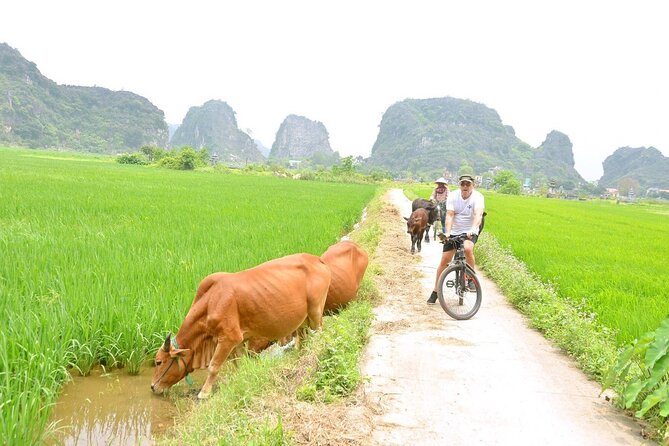 Ninh Binh Full-Day Small Group of 9 Guided Tour from Hanoi - The return to Hanoi and the real length of the day