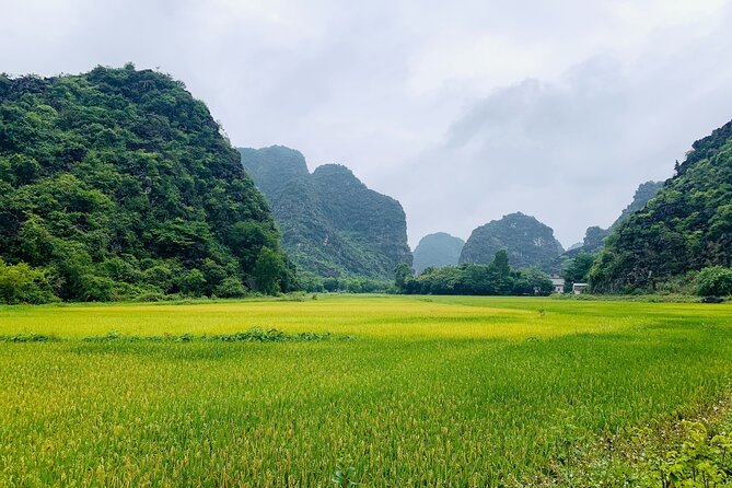 Ninh Binh Full Day Trip From Hanoi To Hoa Lu, Trang An, Mua Cave - Key points at a glance