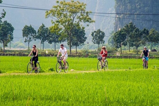 Ninh Binh Full-Day Trip to Trang An Mua Cave Hoa Lu Buffet Lunch - Mua Cave and the climb to Mua Hill
