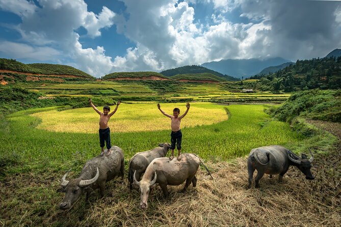 Ninh Binh Group Tour of 11 from Hanoi via Mua Cave Tam Coc Hoa Lu - Timing, crowds, and the small-group advantage