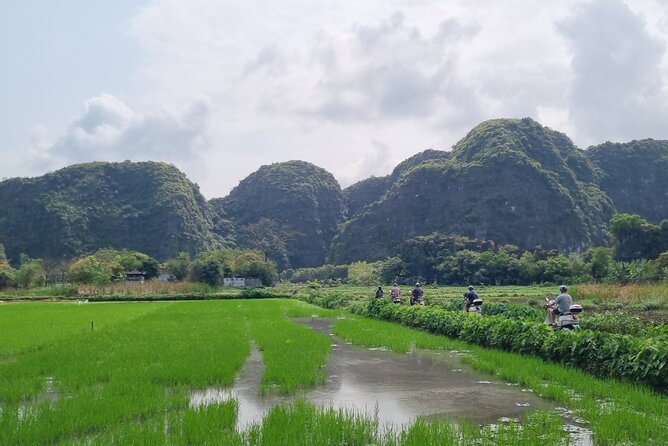 Ninh Binh HIGHTLIGHT & HIDDEN GEM Tour From Hanoi: Skip-The-Line - Thai Vi Temple, Bich Dong, and the quieter side of the day