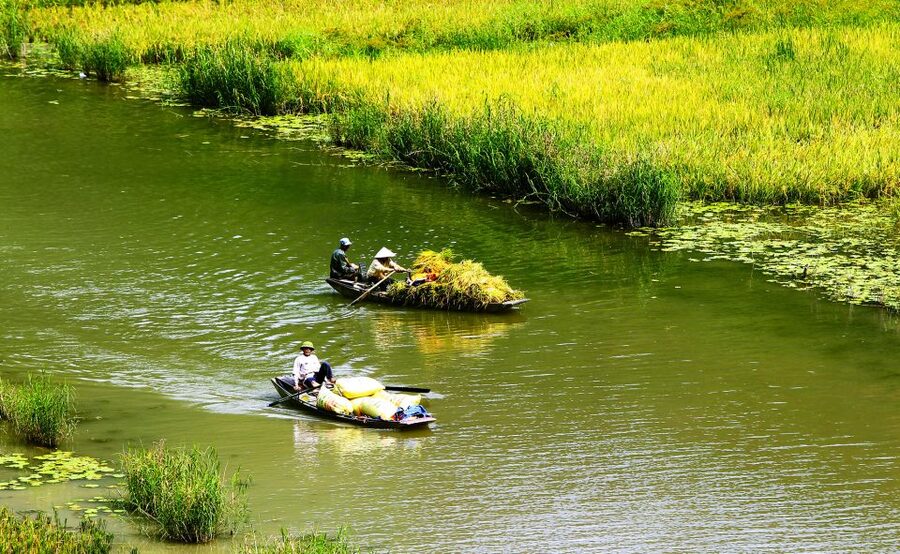 Ninh Binh: Hoa Lu, Trang An and Mua Caves Hiking Day Trip - Hoa Lu, Vietnam’s 11th-century capital