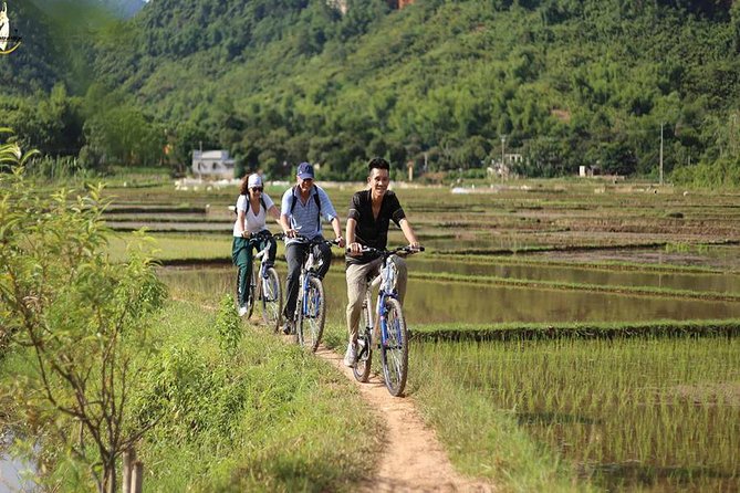 NINH BINH MEMORABLE DAY: Hoa Lu, Mua Cave, boat trip Tam Coc, Trang An optional - Trang An, the most memorable river route