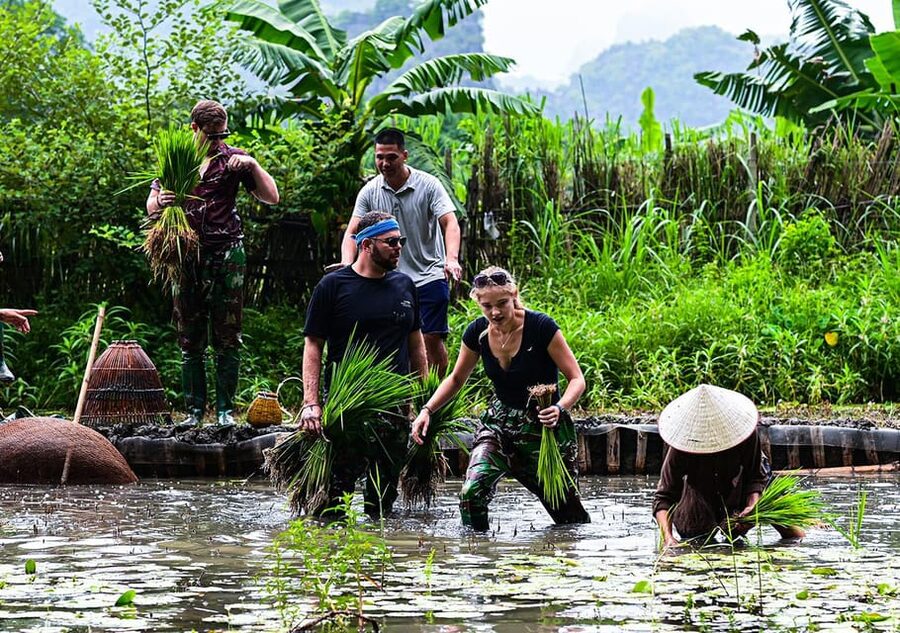 Ninh Binh: Rice planting and fishing by basket tour - Getting to Buffalo Cave from Tam Coc