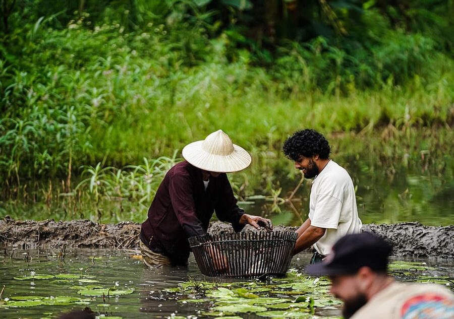 Ninh Binh: Rice planting and fishing by basket tour - Starting with buffalo care at 9:00