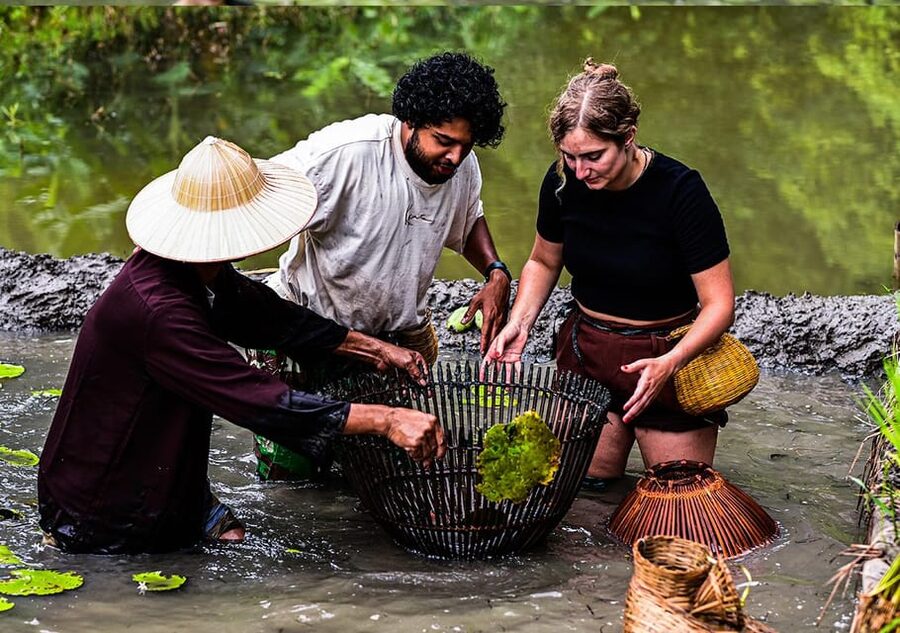 Ninh Binh: Rice planting and fishing by basket tour - Practical preparation for the fields and pond
