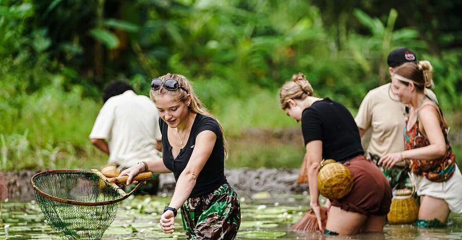Ninh Binh: Rice planting and fishing by basket tour - Learning how rice moves from field to table