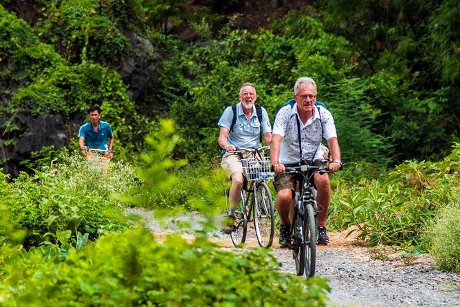 Ninh Binh Tour Hoa Lu Tam Coc Full Day: Biking,Boating,Tickets,Lunch, Limousine - The limousine shuttle and long Hanoi day