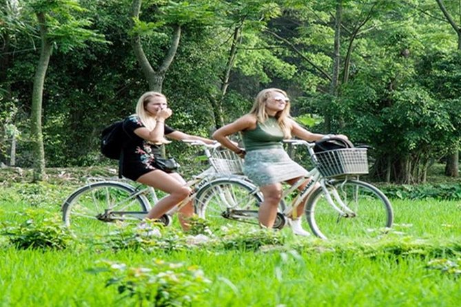 Ninh Binh Tour Hoa Lu Tam Coc Full Day: Biking,Boating,Tickets,Lunch, Limousine - Who gets the best value at $41