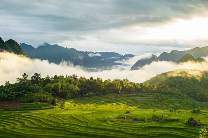 Noi Bai Airport transfer to Hotel or Vice versa - Group size, luggage, and vehicle expectations
