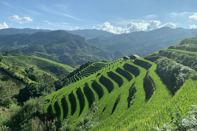 Number one top rated ethical cultural trekking and homestay by ETHOS - An overnight stay among the rice paddies