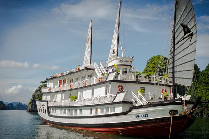 (Official) Signature Halong Cruise - 03 days 02 nights program - Day 3: Tai Chi, light breakfast, and Thien Canh Son Cave