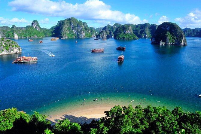 Orchid Cruises 2Days/1Night 5 Star All included - Lan Ha Bay on the first afternoon