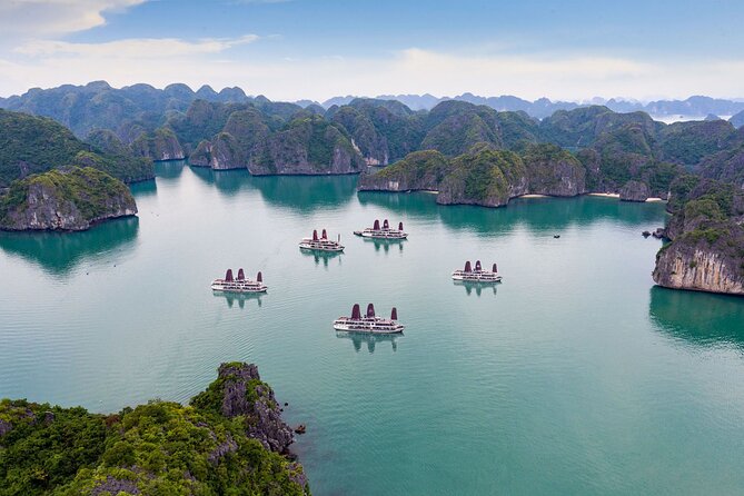 Orchid Trendy Cruises 2Days/1 Night 5 Star Cruises - Who will enjoy this most