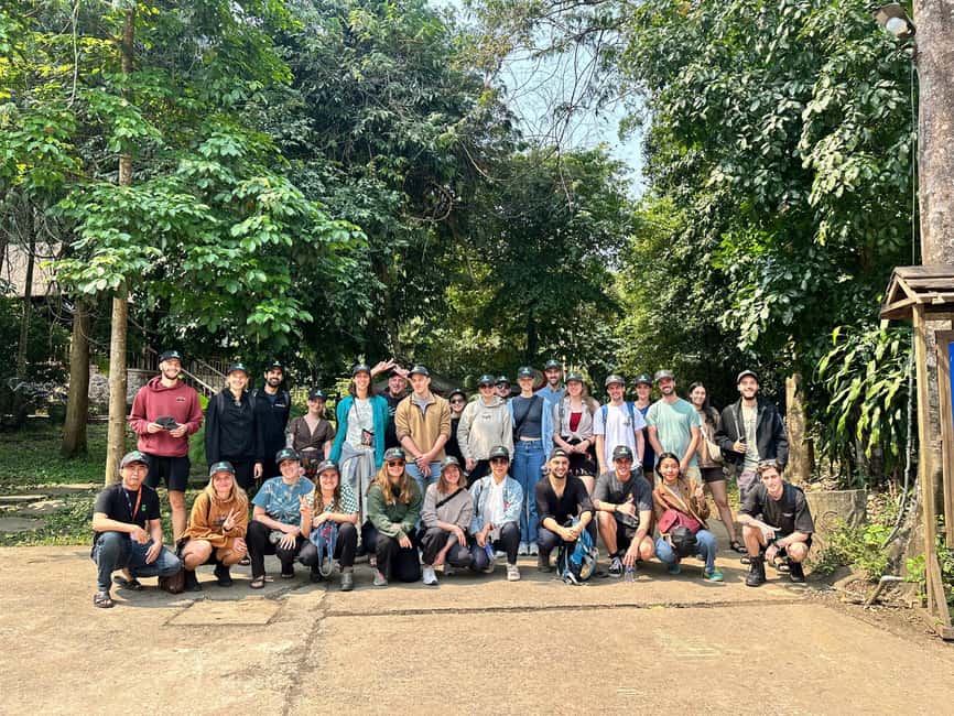 Phong Nha National Park: Paradise Cave Half-Day Tour - Why Paradise Cave is worth your time