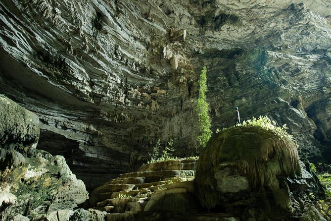 Phong Nha & Paradise Cave - 1 Day All Inclusive - Key points to know before you book