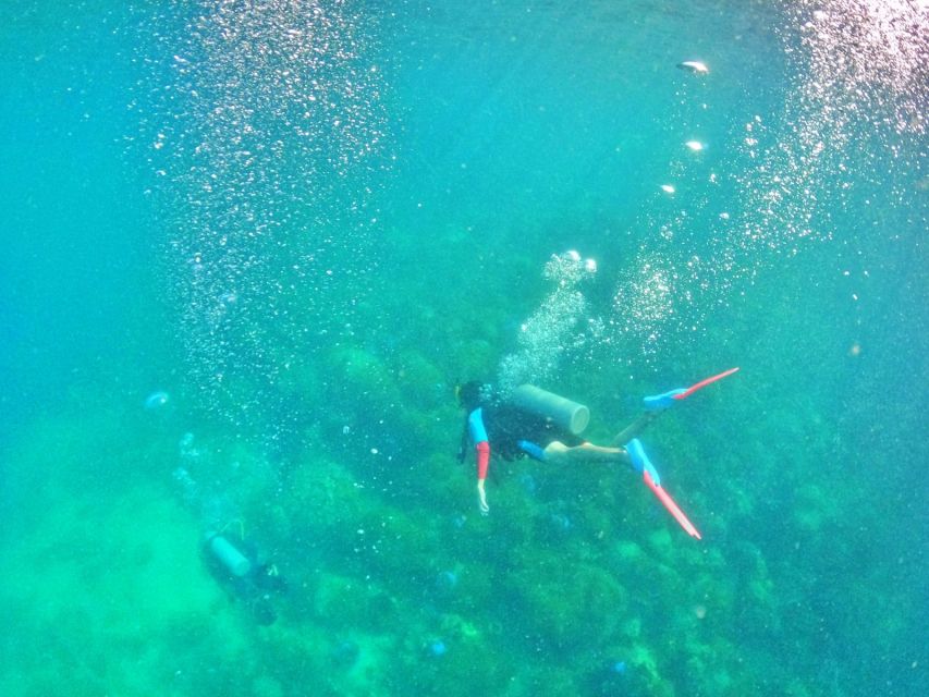 Phu Quoc: Scuba Diving Experience for All Levels - Key points to know before booking