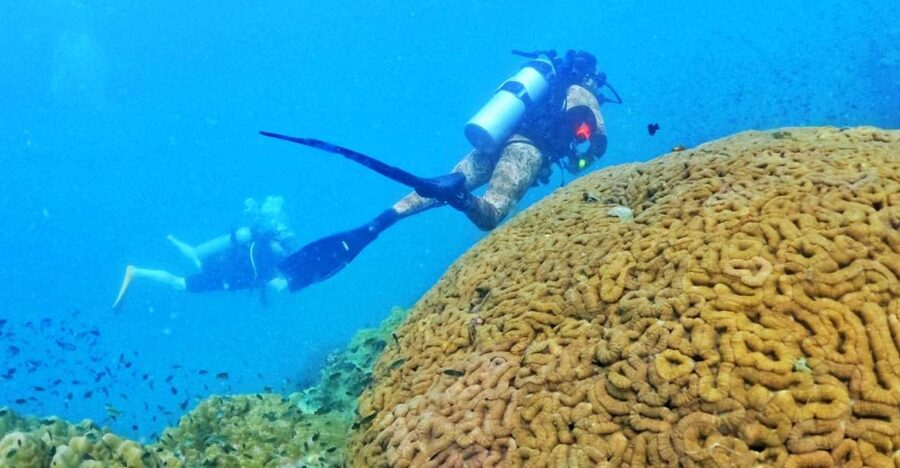 Phu Quoc: Scuba Diving Experience for All Levels - Why this Phu Quoc scuba trip works for beginners