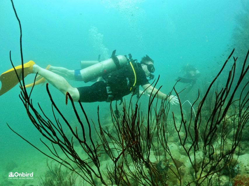Phu Quoc: Scuba Diving Experience for All Levels - The second session at 1:00