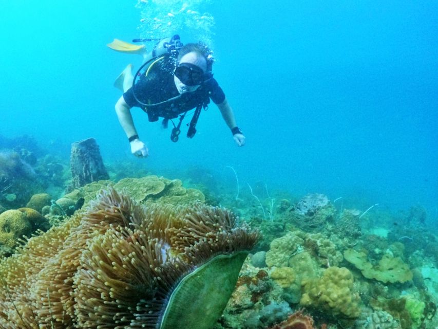 Phu Quoc: Scuba Diving Experience for All Levels - Is $102 a fair price?