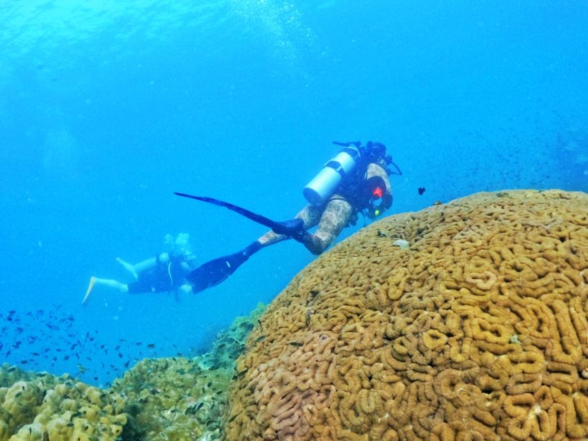 Phu Quoc: Scuba Diving Experience for All Levels - Who should book this trip?