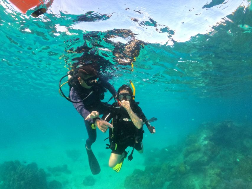Phu Quoc: Scuba Diving Experience for All Levels - Timing, cancellations, and flight planning