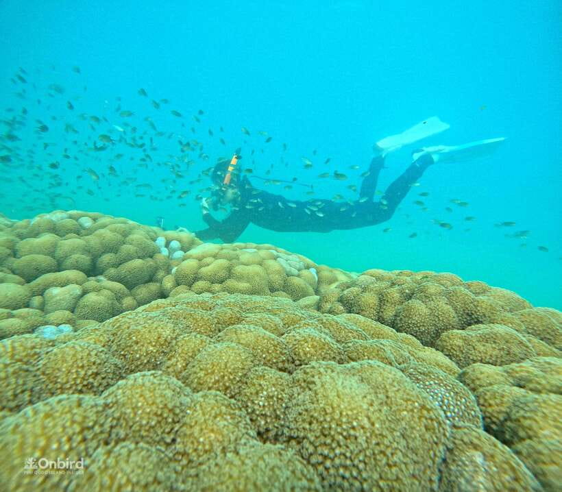 Phu Quoc: Speed Boat Tour 4 Islands - 2 Reefs Snorkeling - The first water stop helps beginners get comfortable