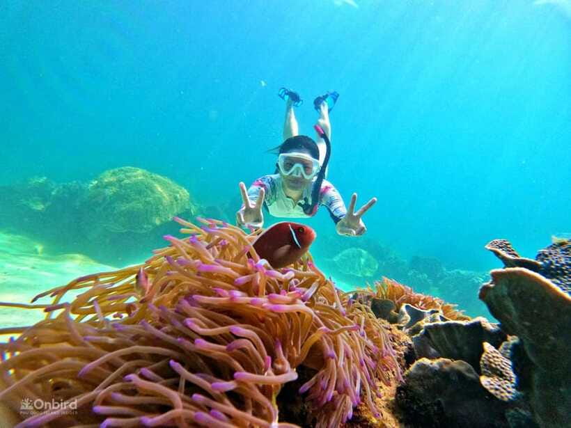 Phu Quoc: Speed Boat Tour 4 Islands - 2 Reefs Snorkeling - Safety comes before a perfect itinerary
