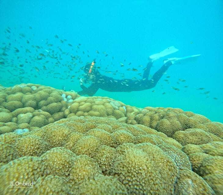 Phu Quoc: Speed Boat Tour 4 Islands - 2 Reefs Snorkeling - Equipment quality matters more than most people expect