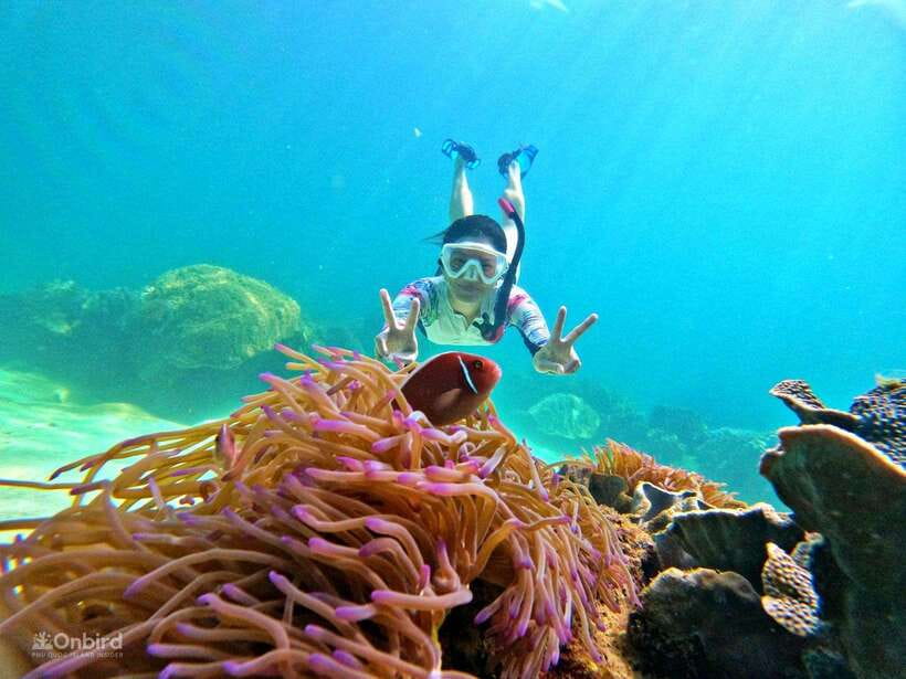 Phu Quoc: Speed Boat Tour 4 Islands - 2 Reefs Snorkeling - Pickup, departure times, and the six-hour schedule