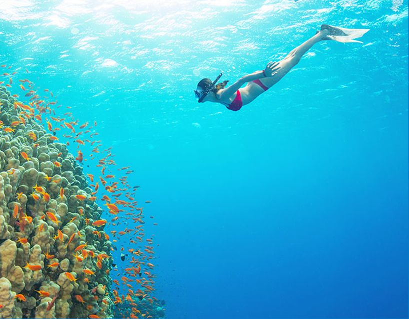 Phu Quoc: Speedboat Tour of 4 Islands with Snorkeling & BBQ - Key points at a glance