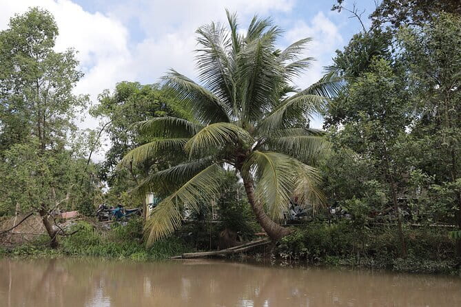 Premium Can Tho Small Canal Tour in Mekong Delta - Seasonal Fruit, Water, and a Three-Hour Pace