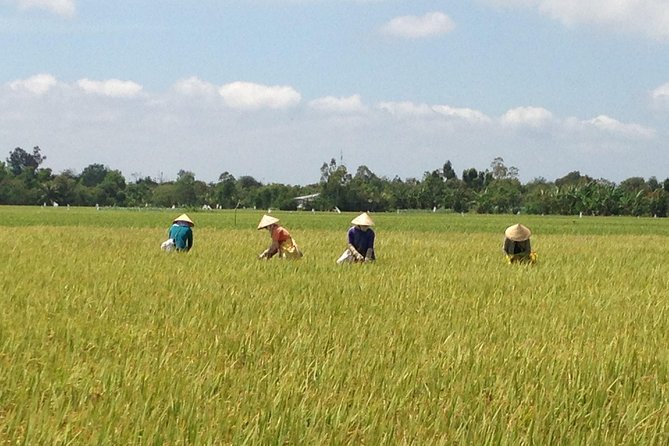 Private Authentic Mekong River Full Day Trip - Non Touristic Mekong delta - Riding Across Paddy Fields and Fruit Country