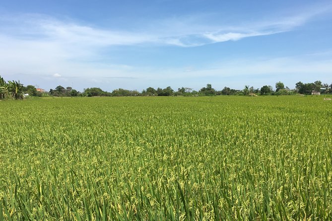 Private Authentic Mekong River Full Day Trip - Non Touristic Mekong delta - Who Will Enjoy This Mekong Day Most?