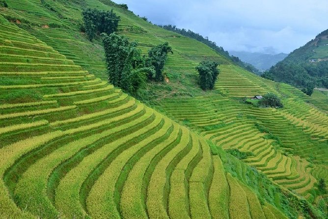 Private Car and Tour Guide Exploring Northern Vietnam - Is $60 a good value?