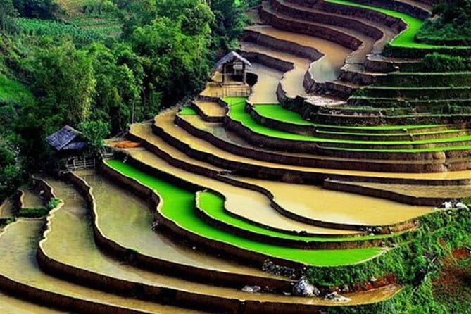 Private Full-Day Tour to Halong Bay from Hanoi - Vietnamese lunch is included on the private cruise
