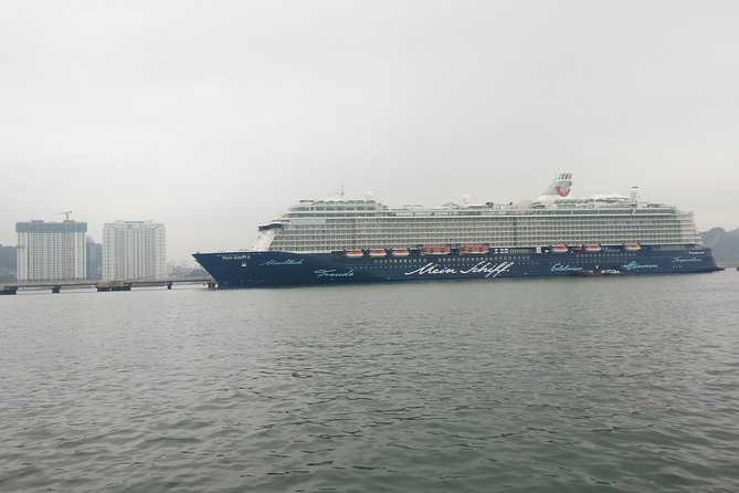 Private Ha Long bay day trip(From Hanoi city or Halong harbour) - What the guide adds to the day