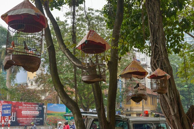 Private Hanoi Half-Day Tour: Train Street and Must Visit Places - Train Street, coffee, and a railway through daily life