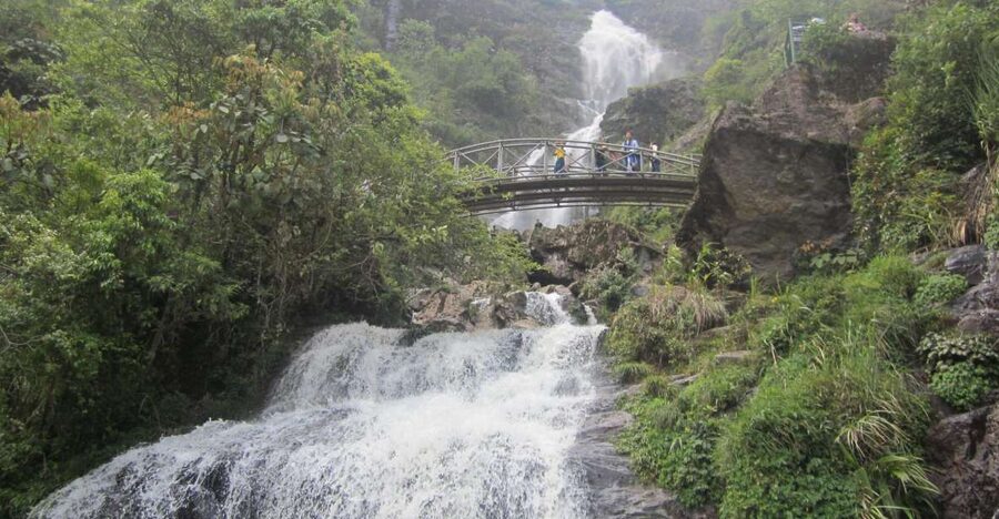 Private Hoang Lien National Park & Tribal Village Trek - What the bamboo-forest trek is really like