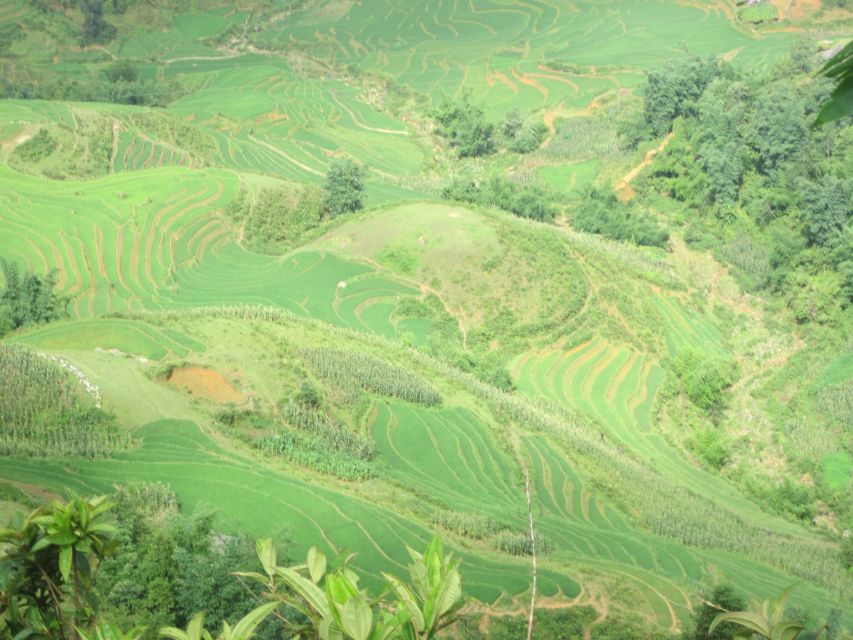Private Hoang Lien National Park & Tribal Village Trek - Why the private format matters