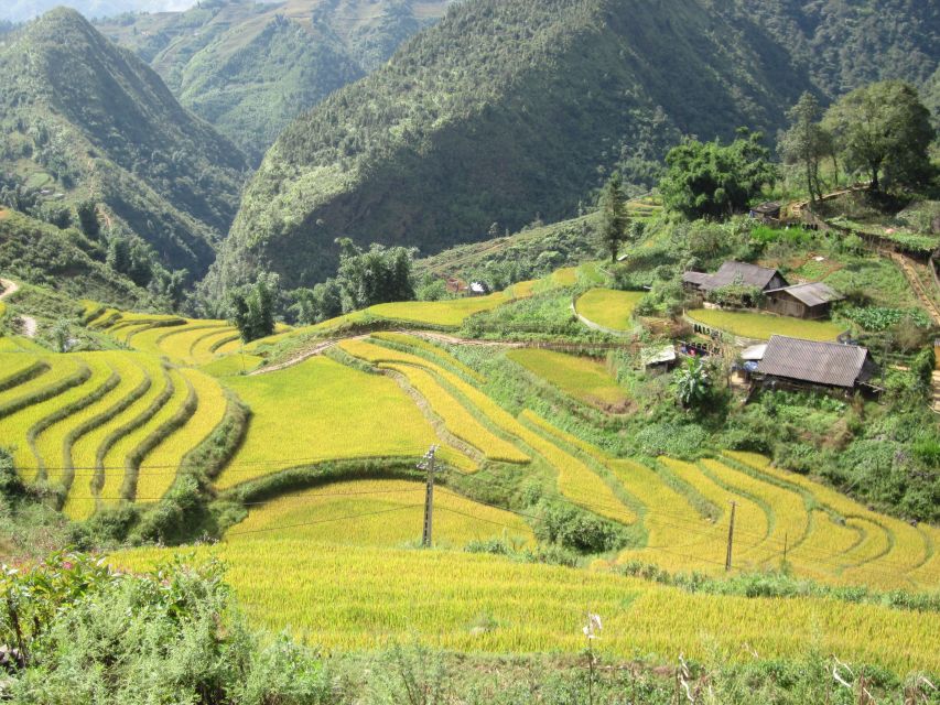 Private Hoang Lien National Park & Tribal Village Trek - Timing, transport, and the five-hour limit